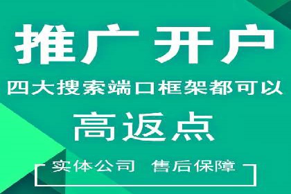 成功案例：SEM推广助力企业拓展海外市场